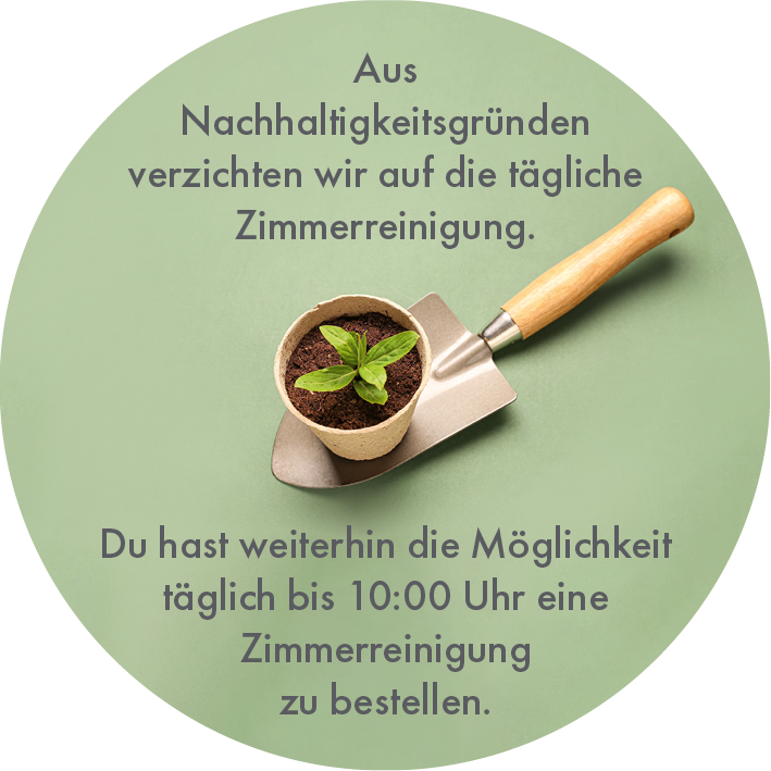 zimmerreinigung